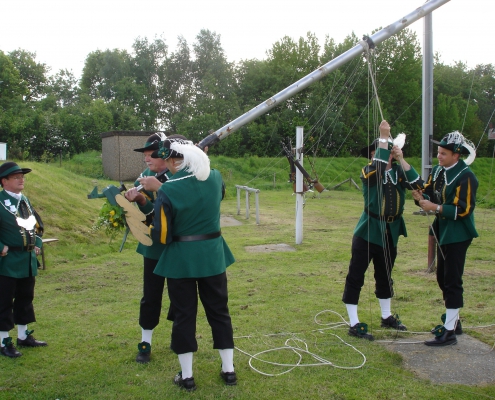 Plaatsing koningsvogel